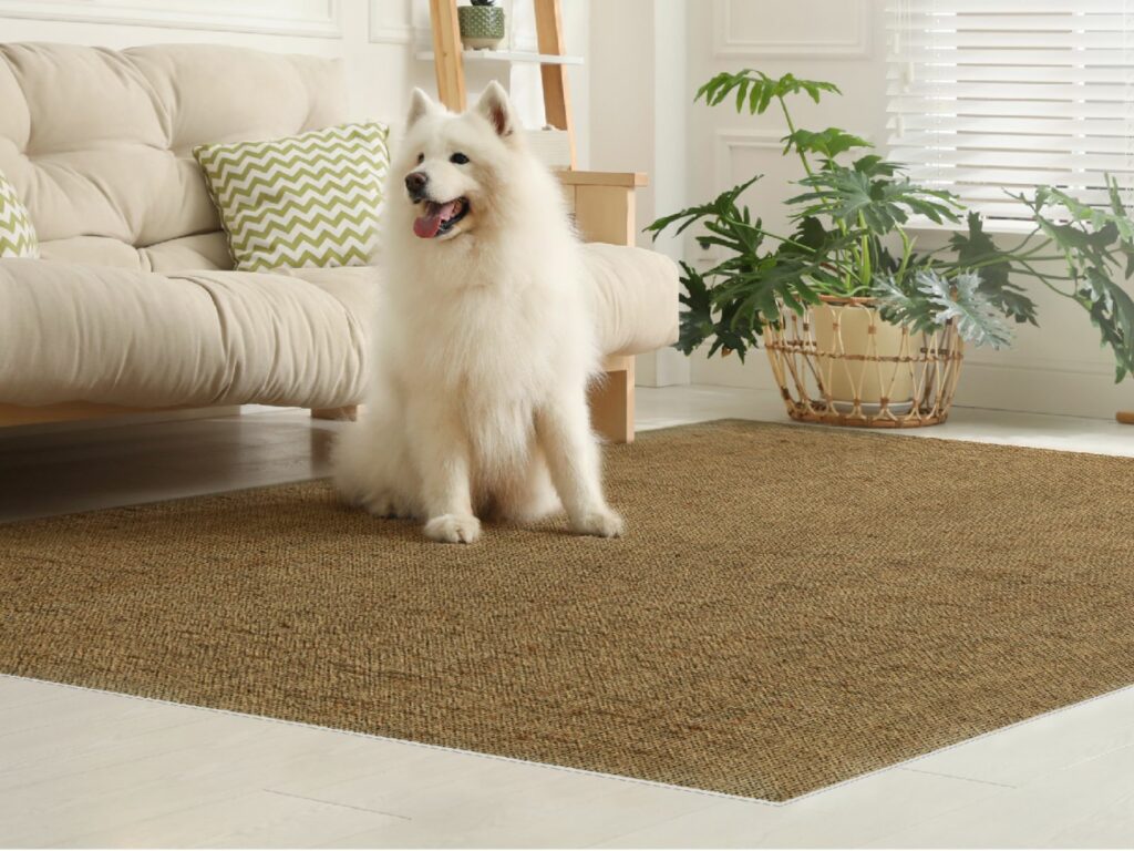 alfombras vinílicas mascotas
