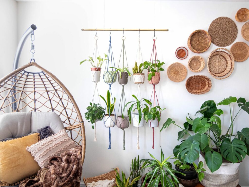 Decorar plantas pared